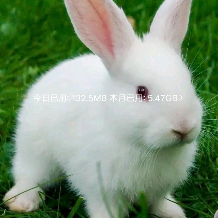 有缘人