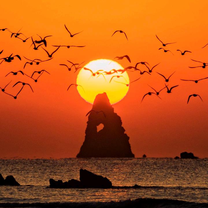 夕阳醉晚霞