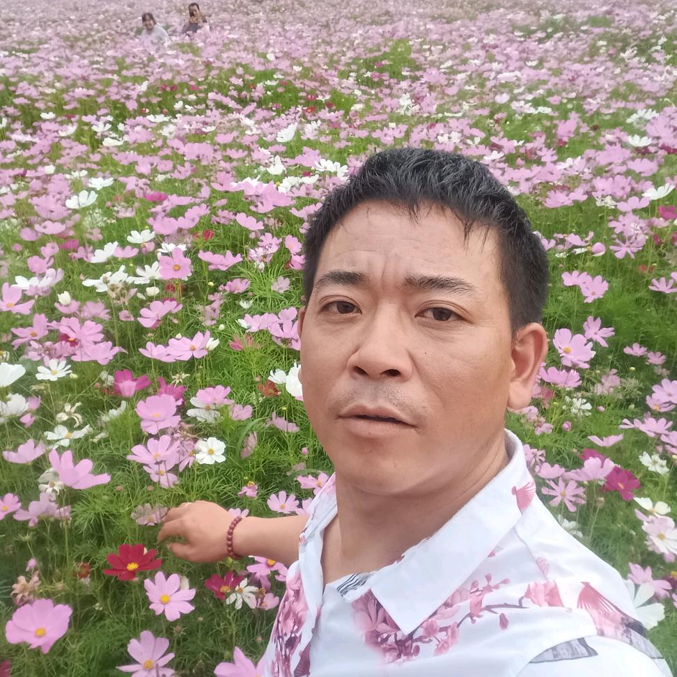农村哥