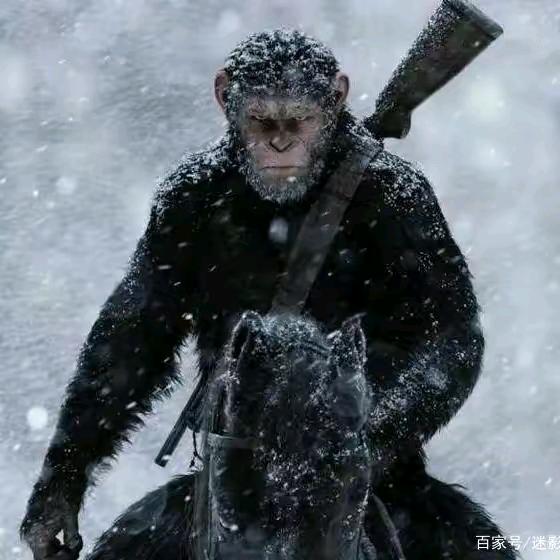 🌈🌈 一路前行