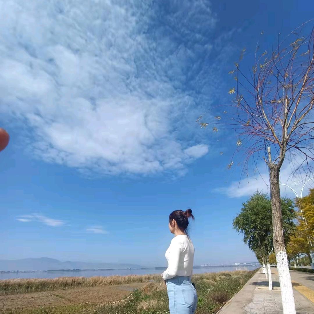 南简.