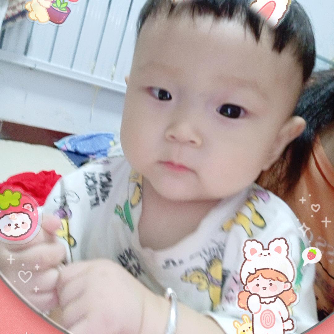 幸运草🍀🍀🍀