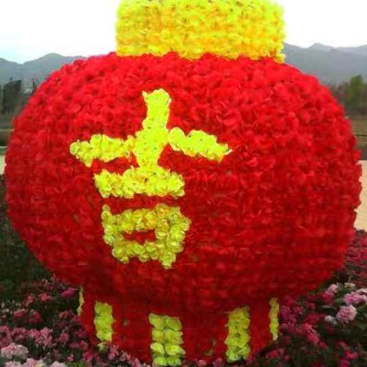 Oy明天会更好-