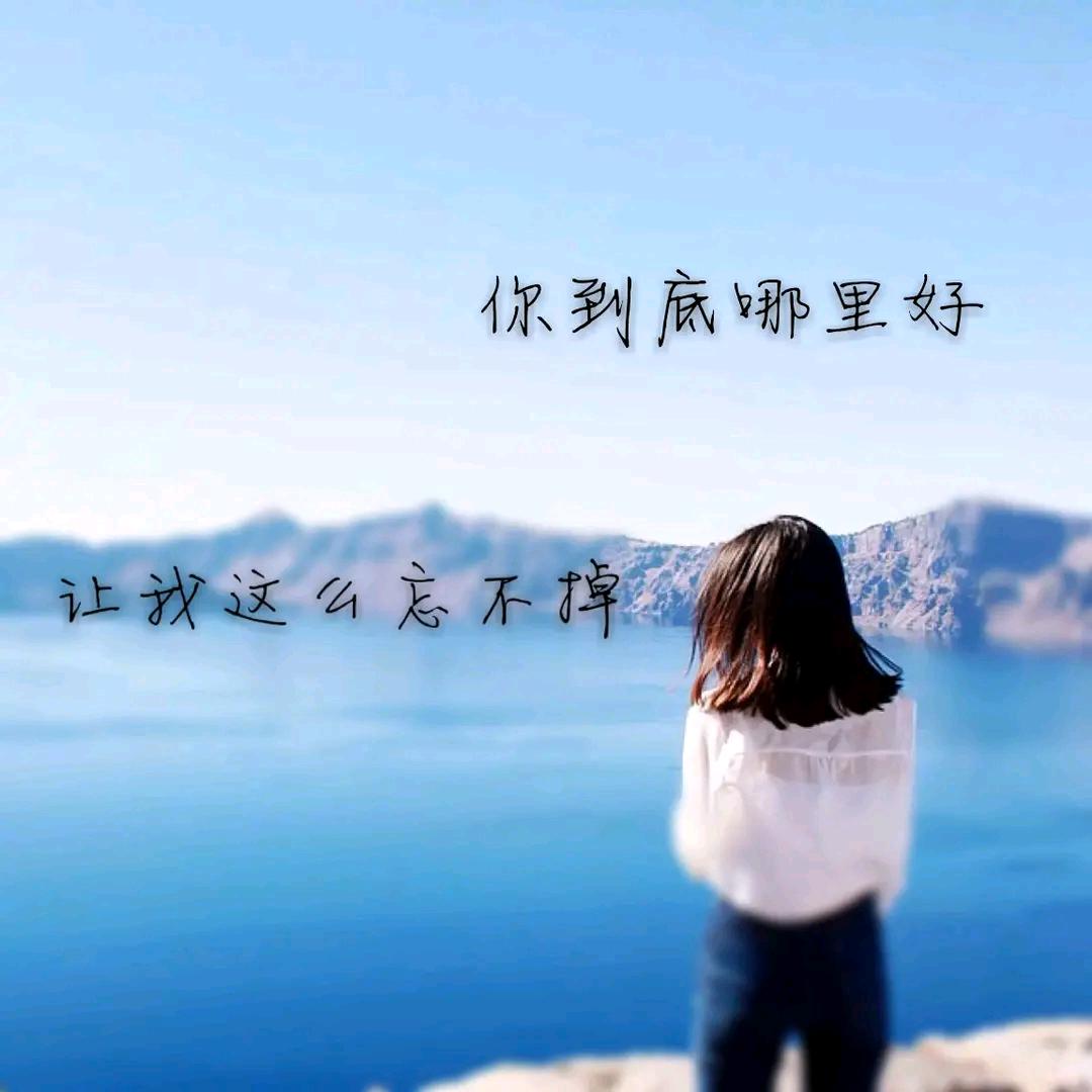 浅若夏末🐹🐮