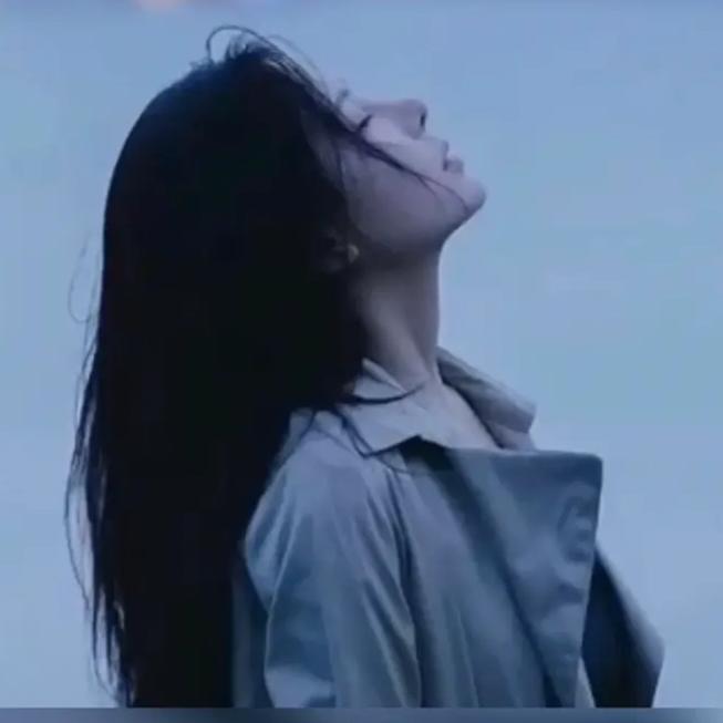 聆风