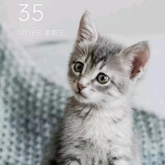眨眨眼