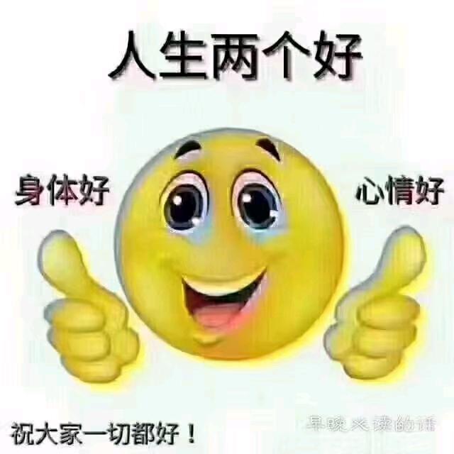 燕子∽沉默是金