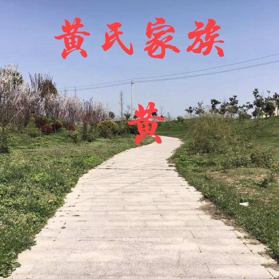 快乐每一天