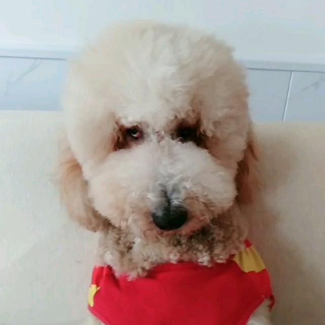 暖宝宝巨贵