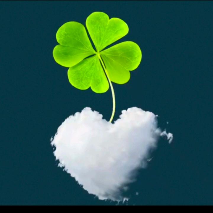 ༊🌺ꦿ꯭꧔ꦿ᭄王家姑娘꧔ꦿএ᭄💕