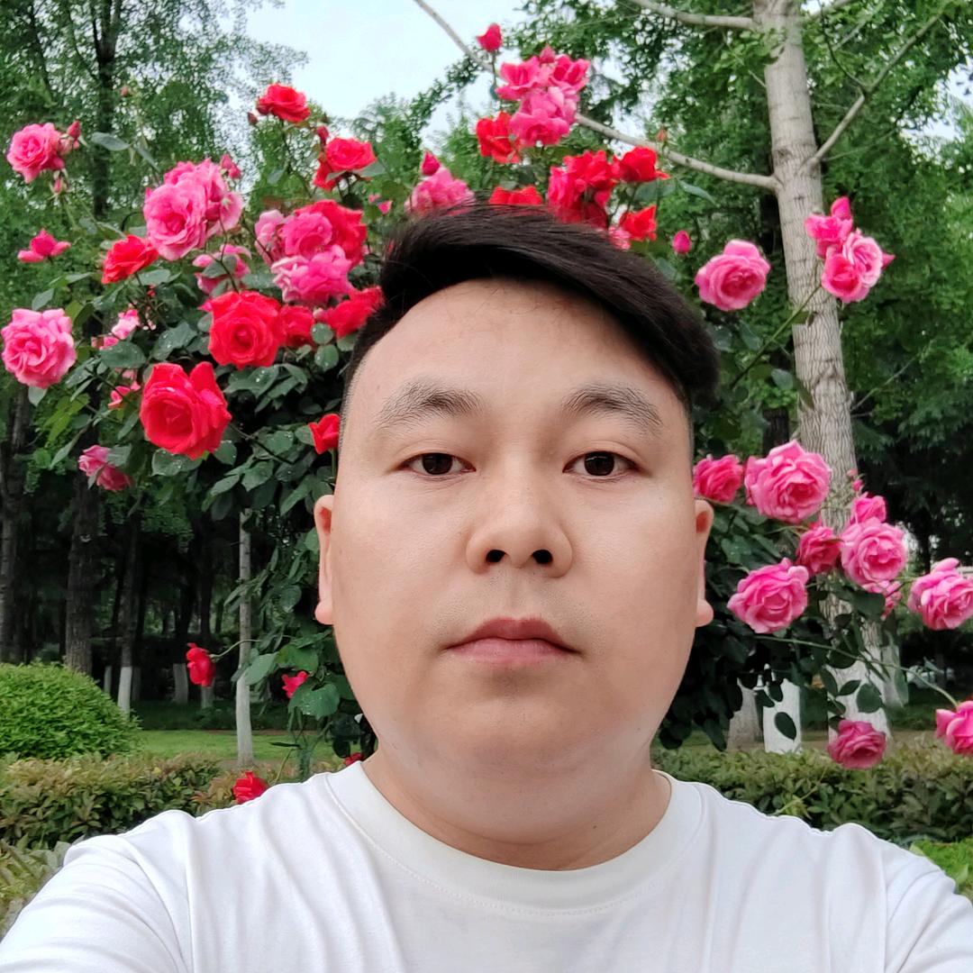 鹏程万里