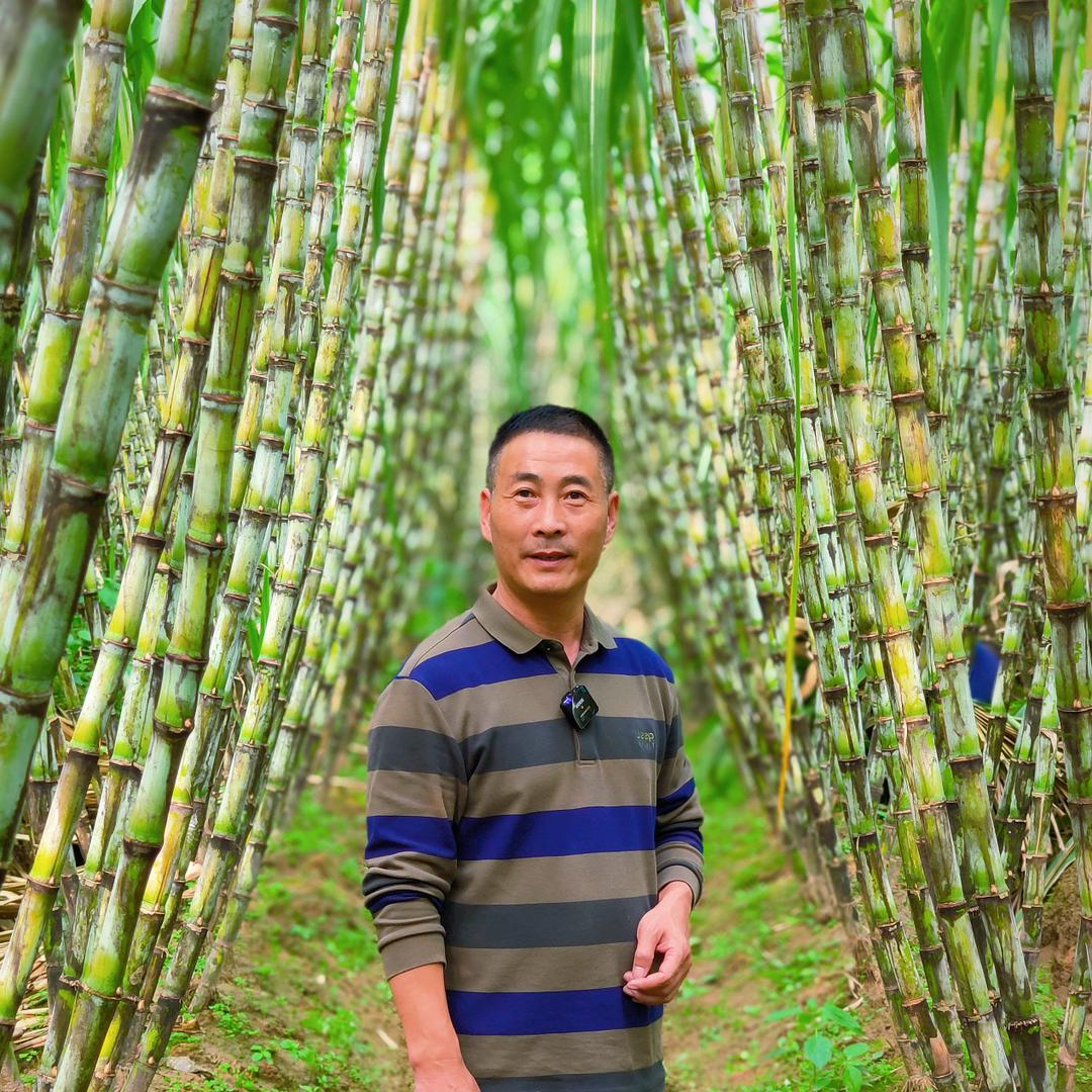福泉农场