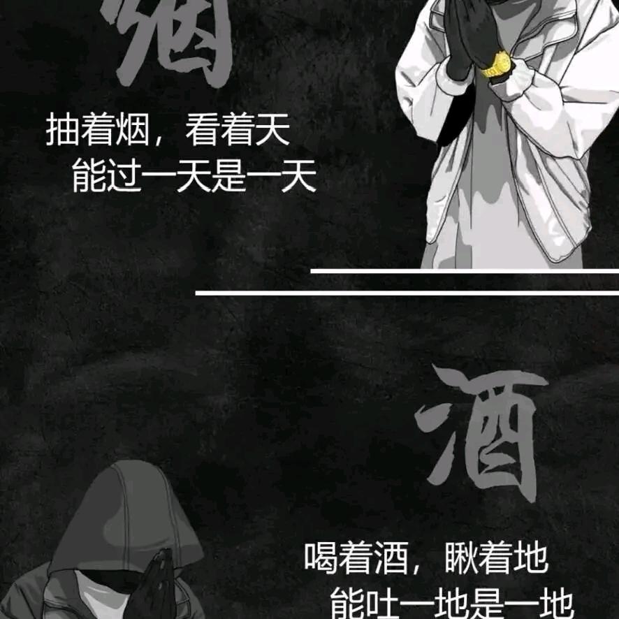 半生轻狂半生伤