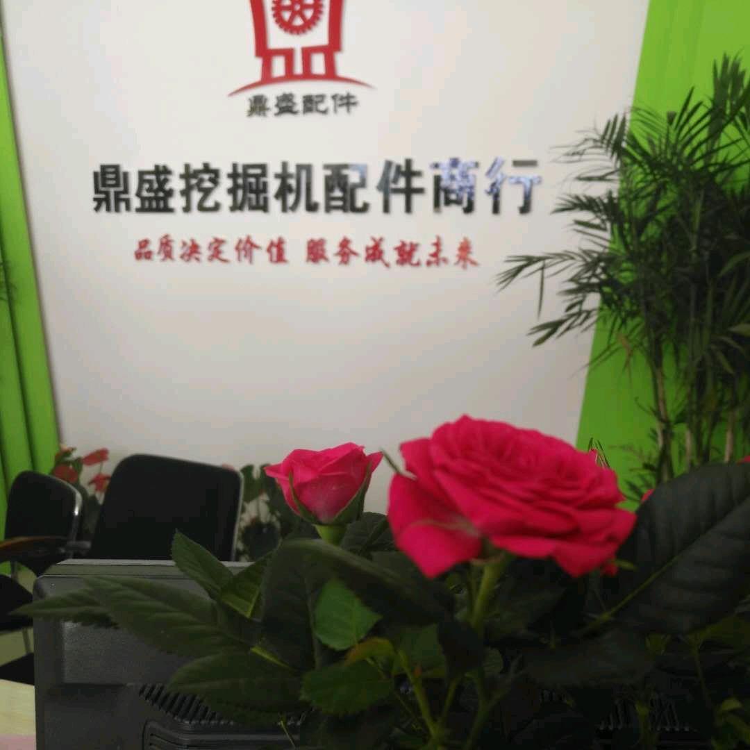 鼎盛挖掘机配件