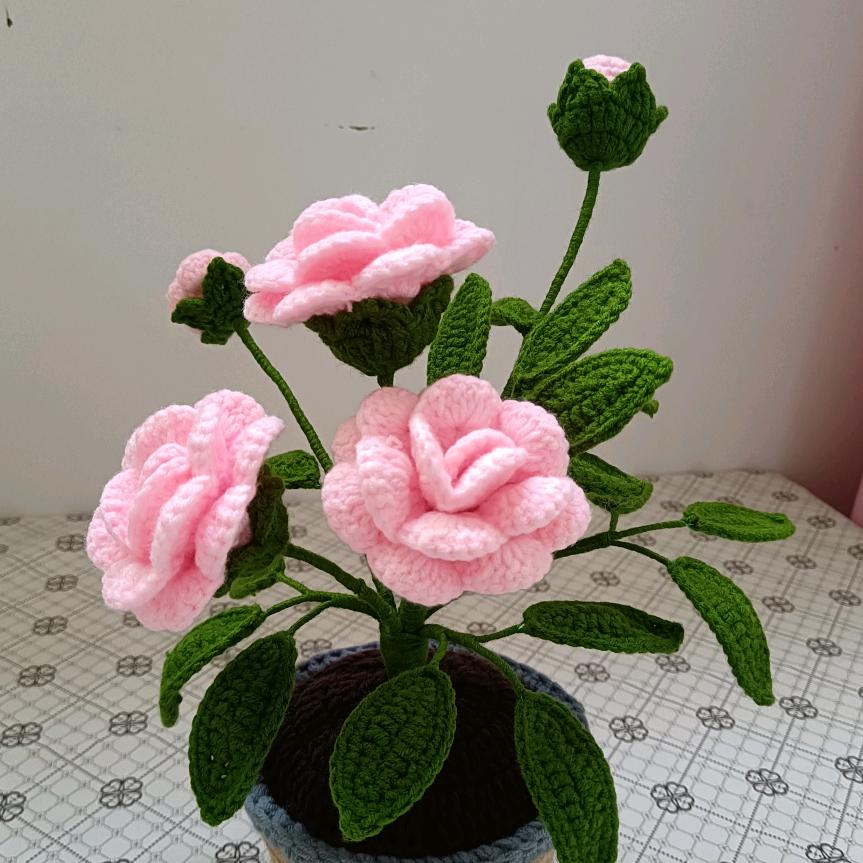 六妹