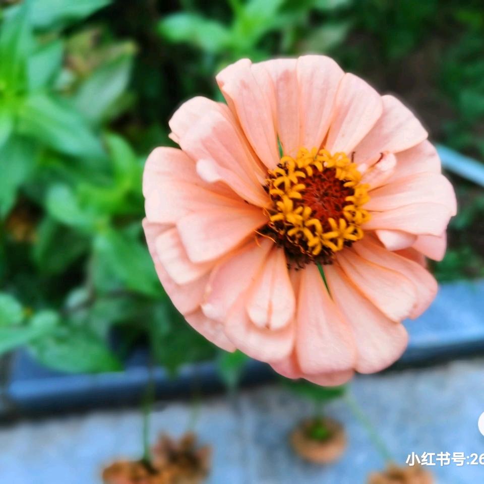 宝鸡市渭滨区福乐老年公寓