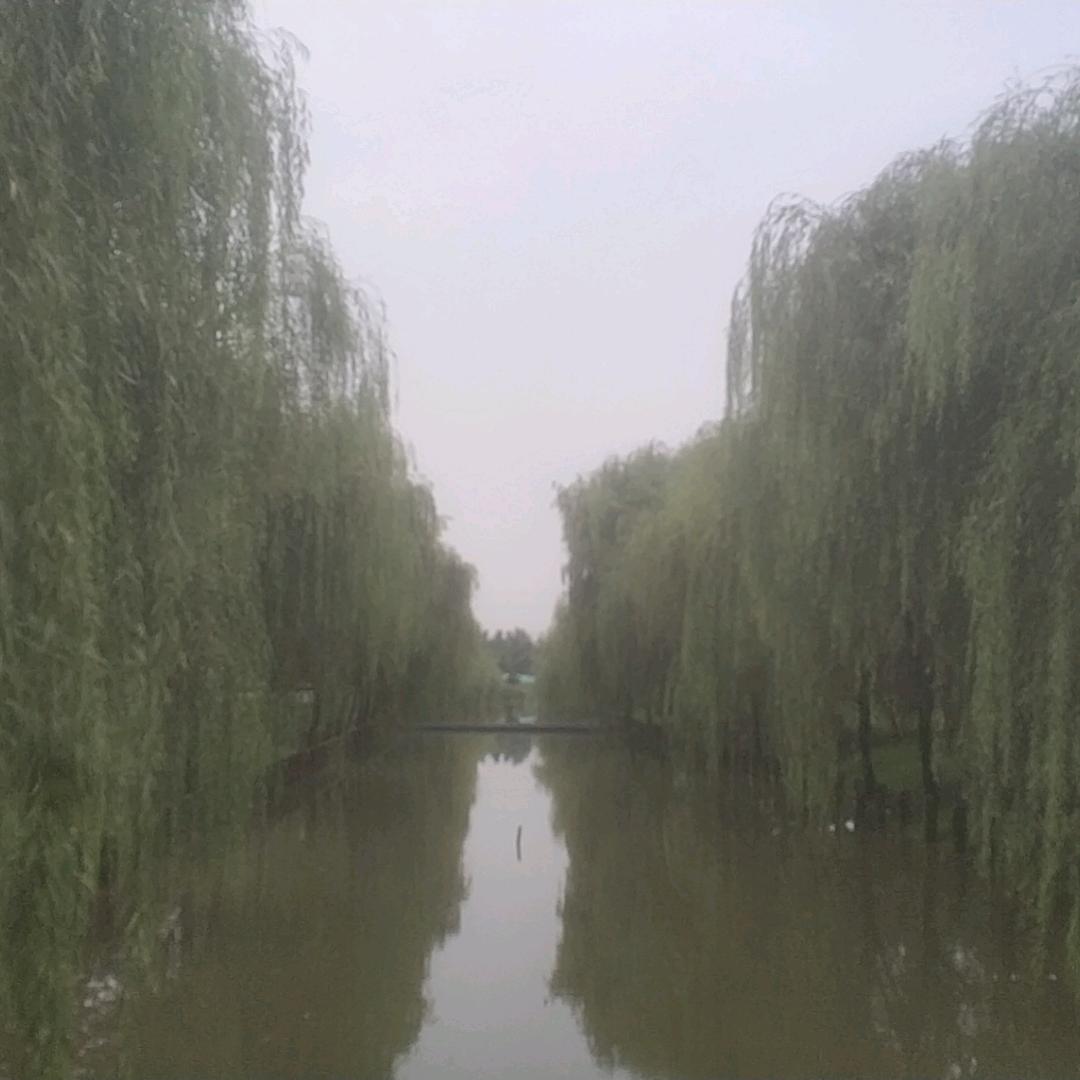 健康快乐每一天