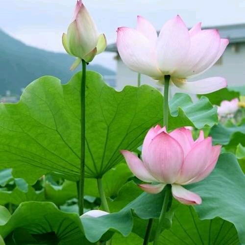 文姐家政保洁 贵阳市内