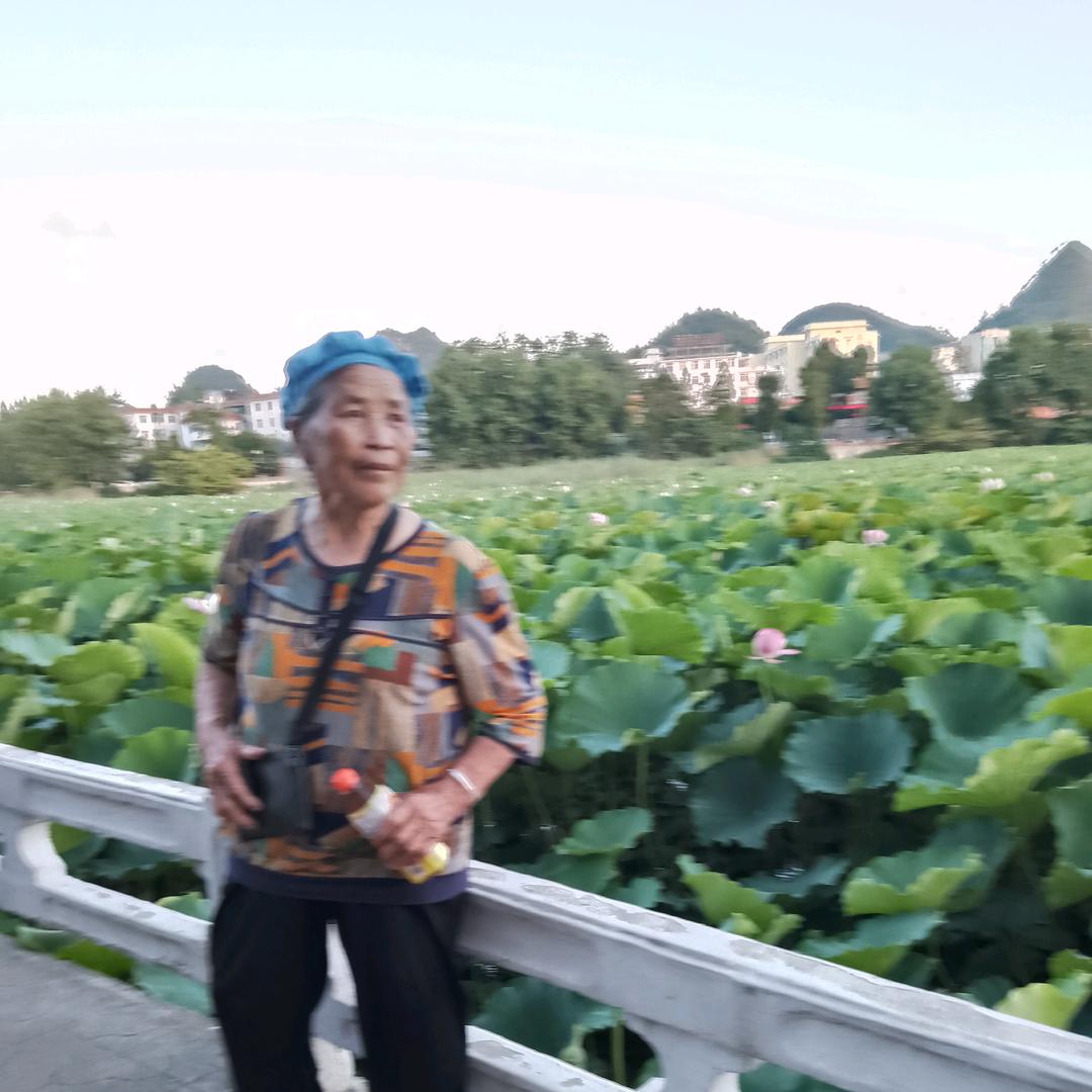 黄老太