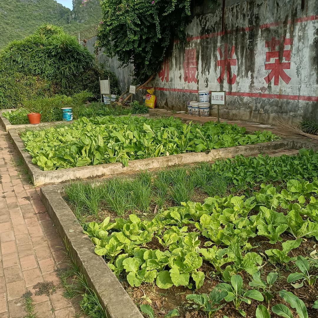 涓涓细流头像