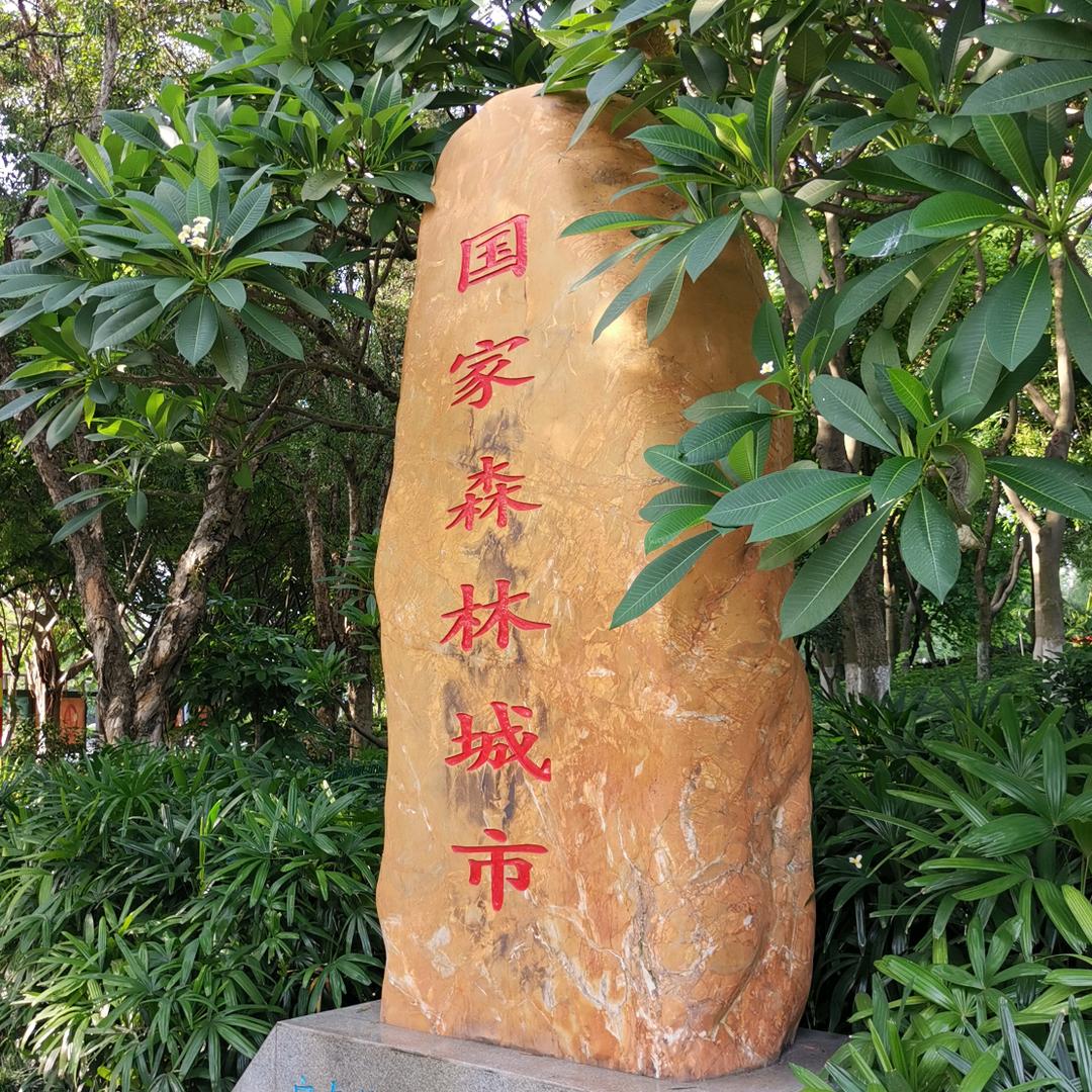 铭记原创手机摄影