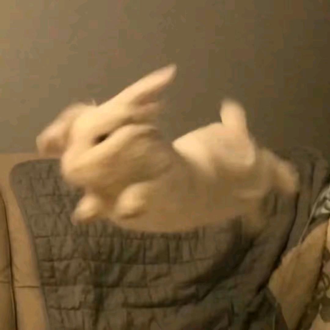 三年挣十亿