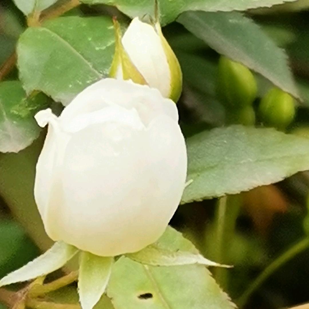 风轻云淡