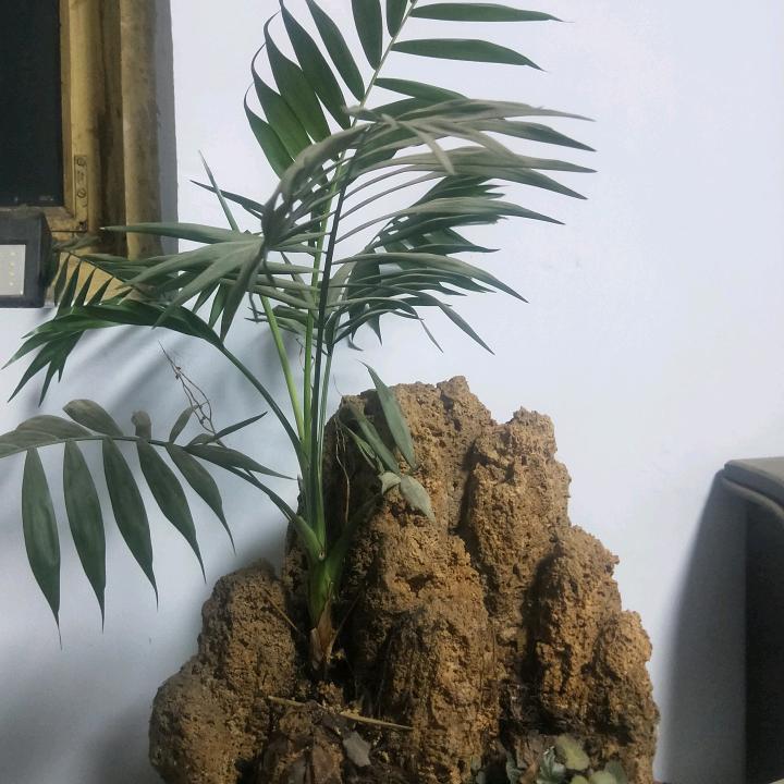 伟