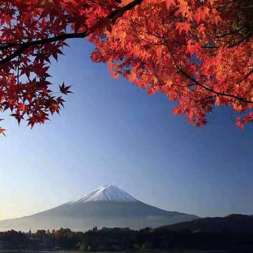 【琼】