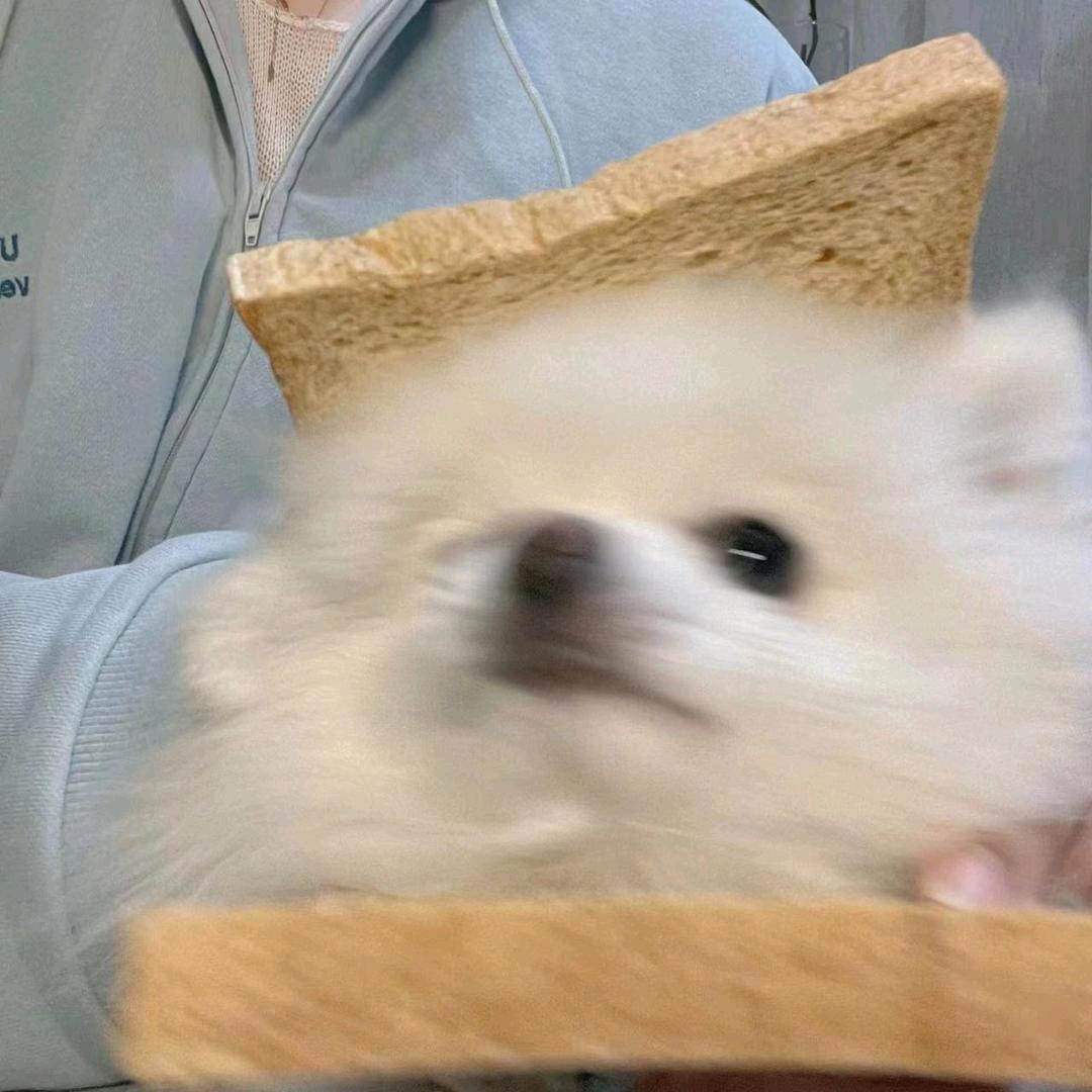 是云云哎！
