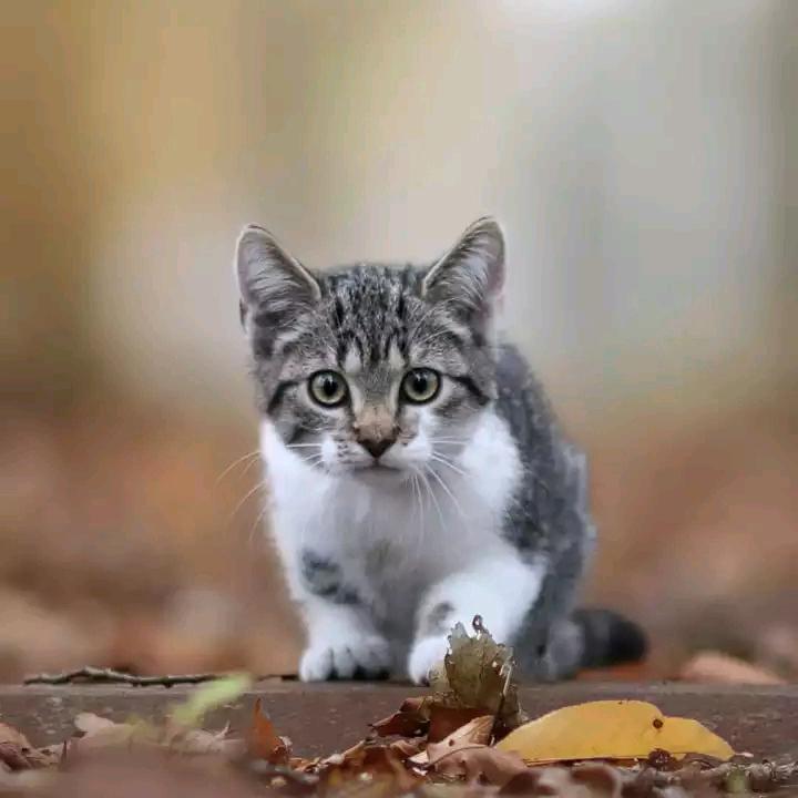 阳光下的小伙