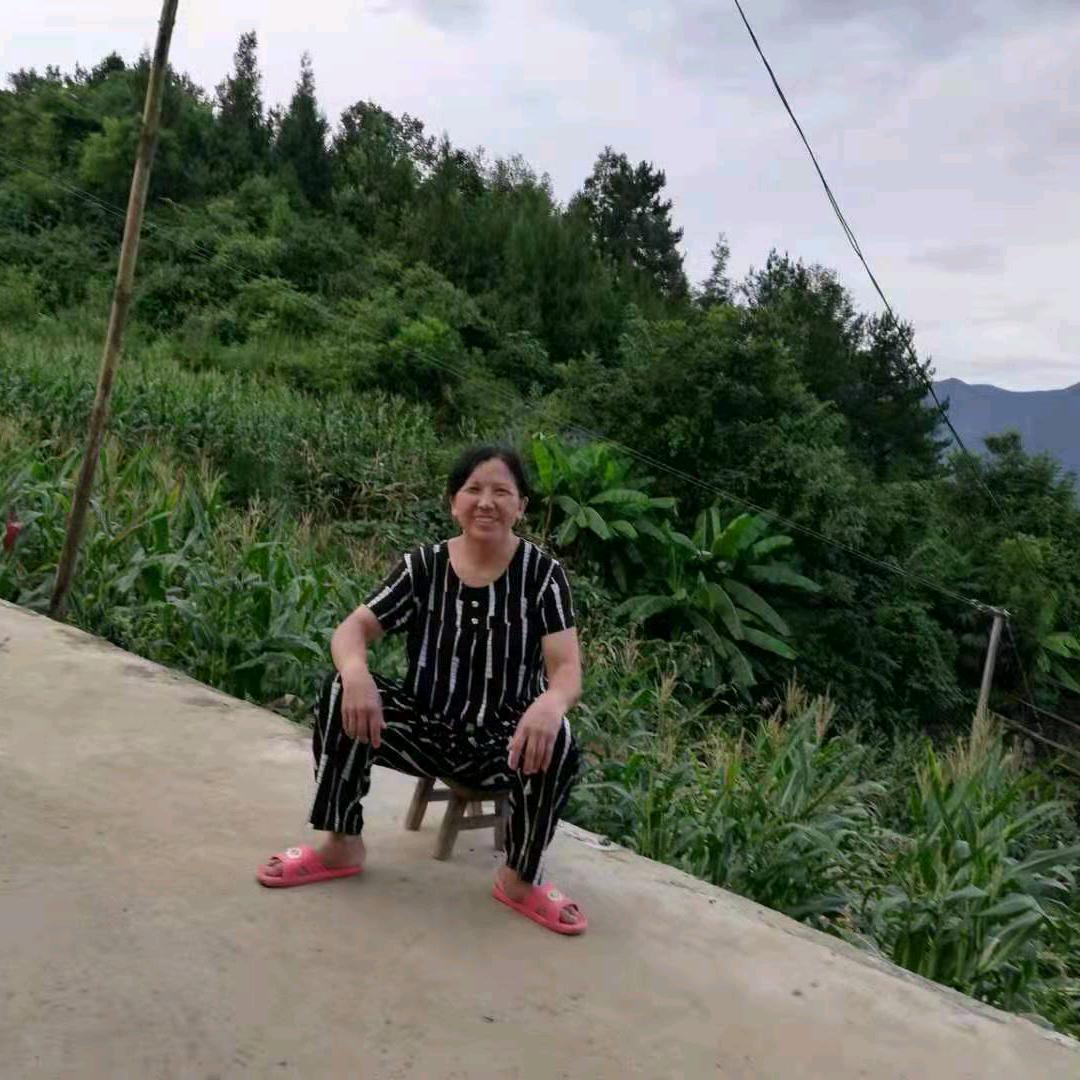 蝶翅上的风