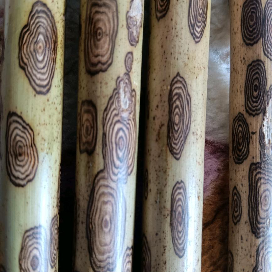 春哥斑竹原材料