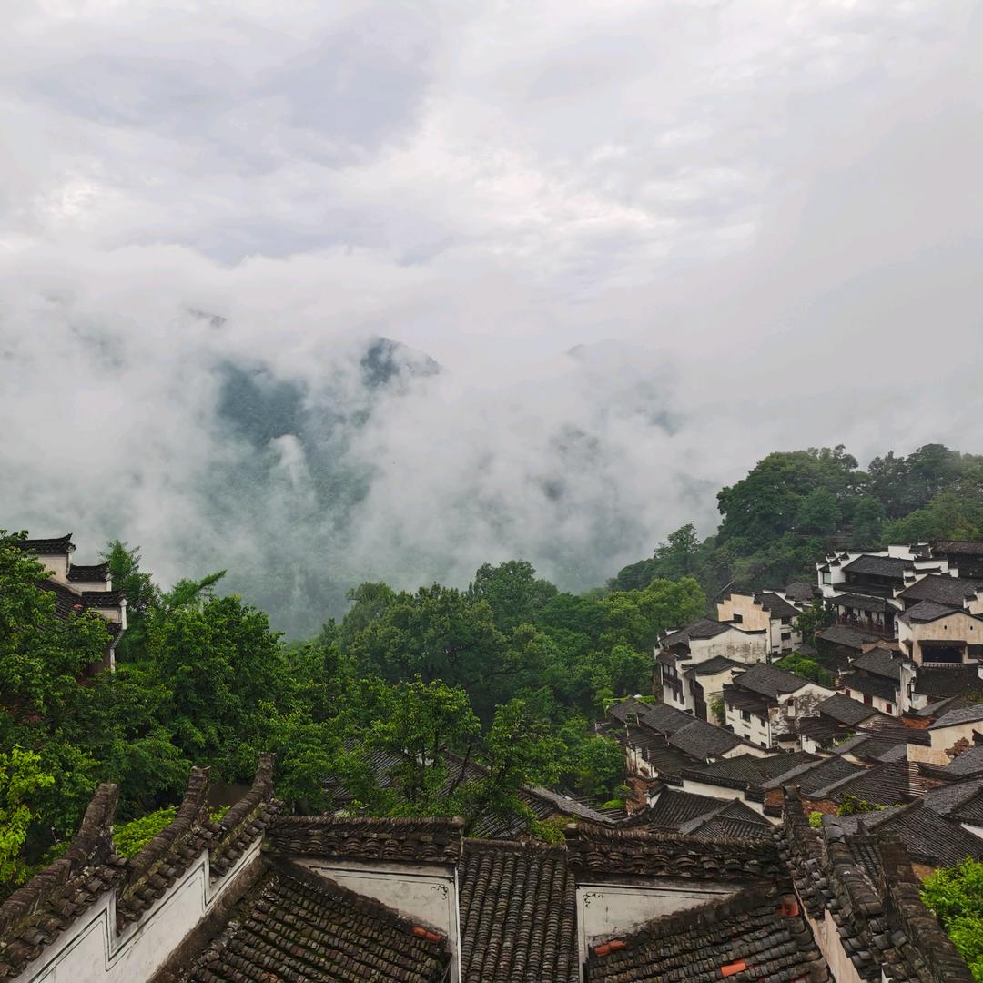 罗洛