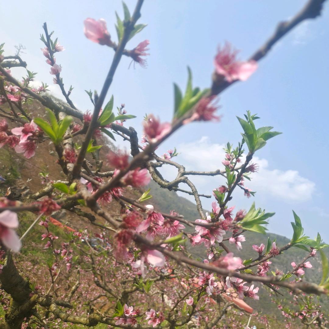 小哥小陈