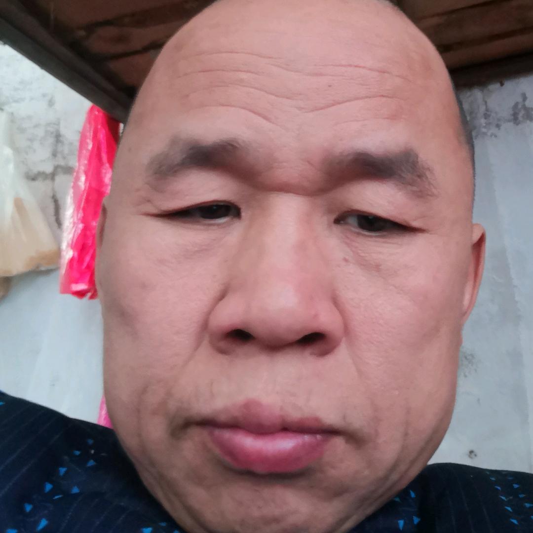 广饶韩庄吕光明代收西红柿