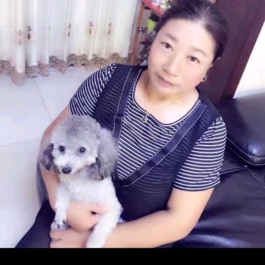 刘玉青