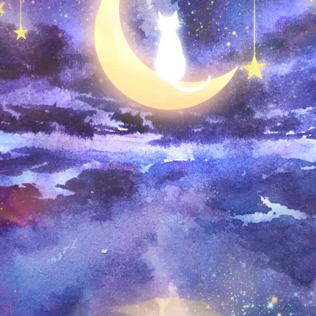 星星遇见月亮🌙