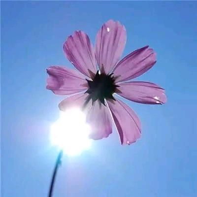 🌸დ᭄*꯭͡爱已꧔ꦿ冬眠℘ℳ?