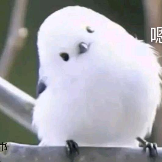 睚眦必报