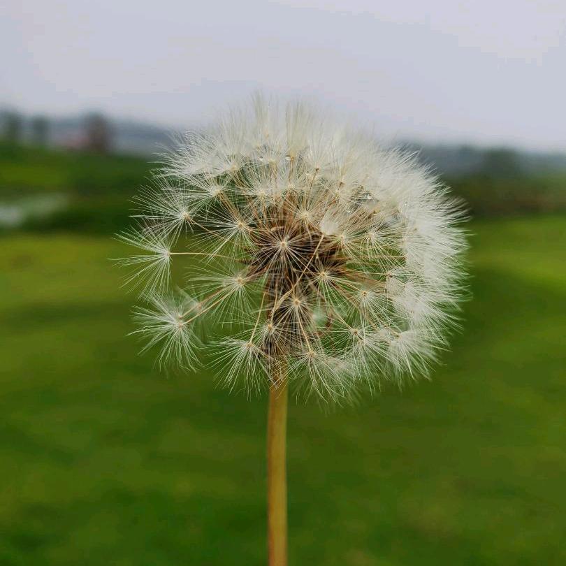 ୧⍤⃝🌻我睡觉的时候不困🥱