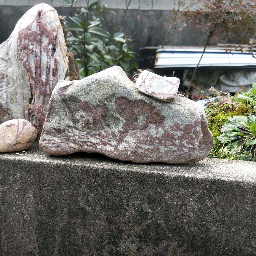 移动的心