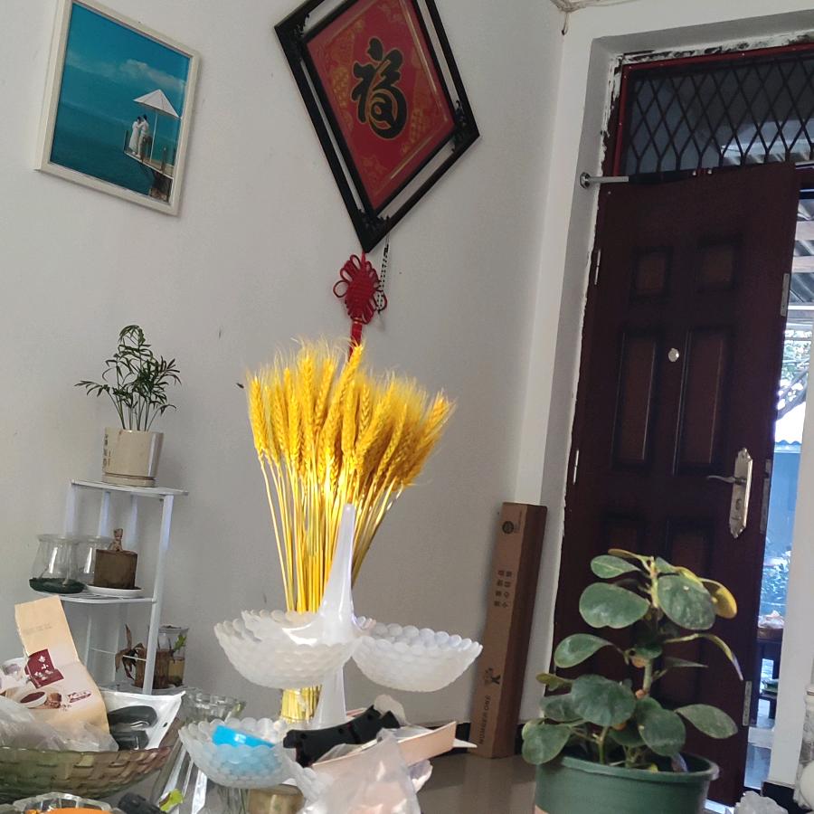 夏兄弟