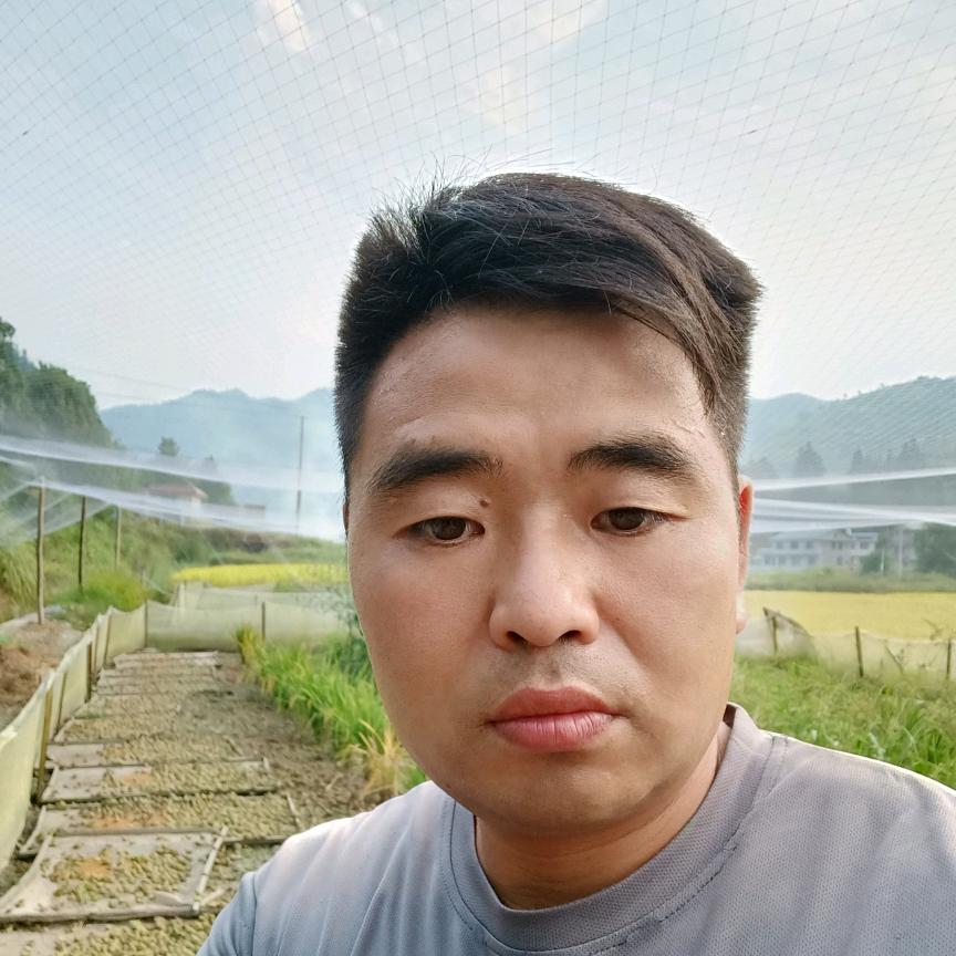 青蛙养殖(黑子)