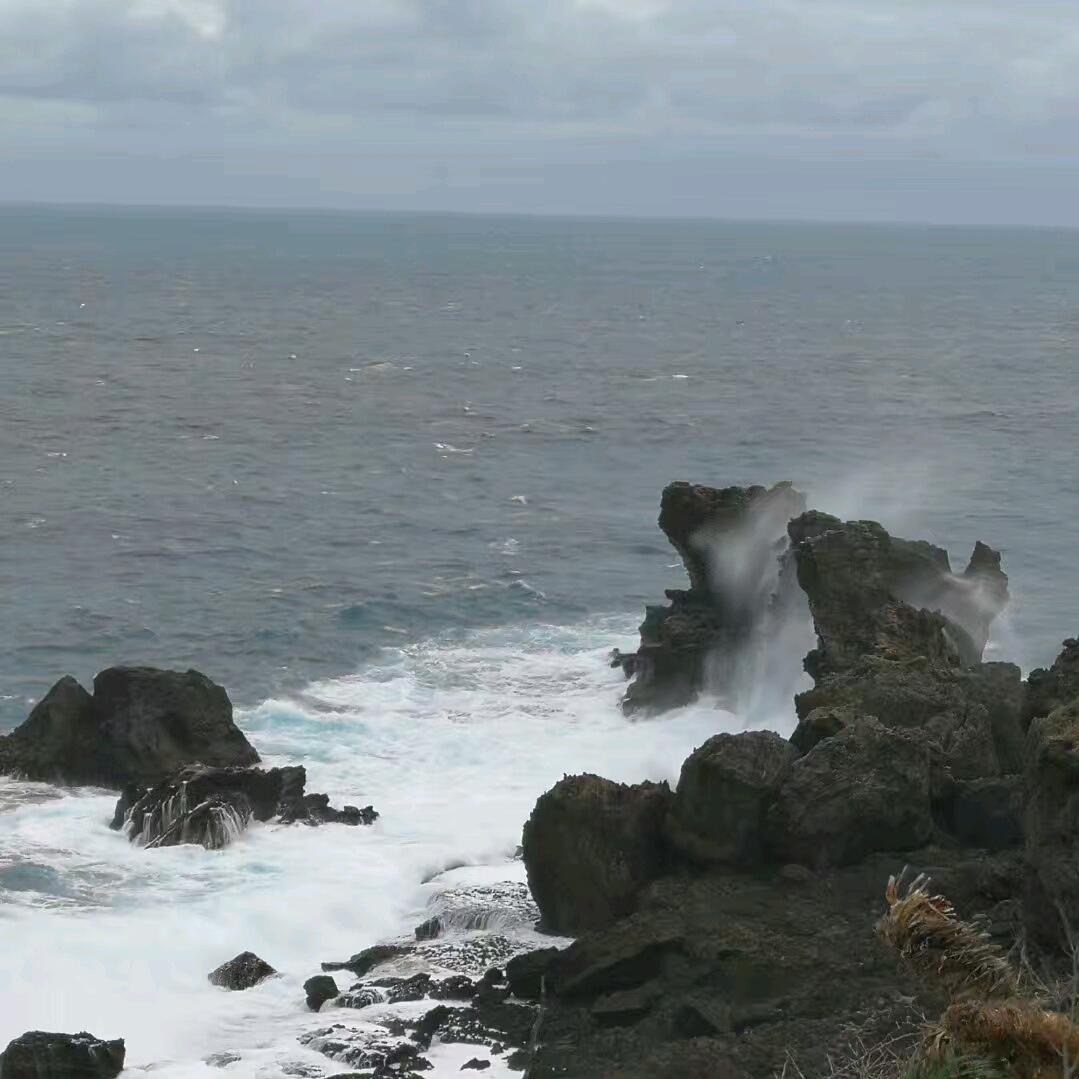 强子