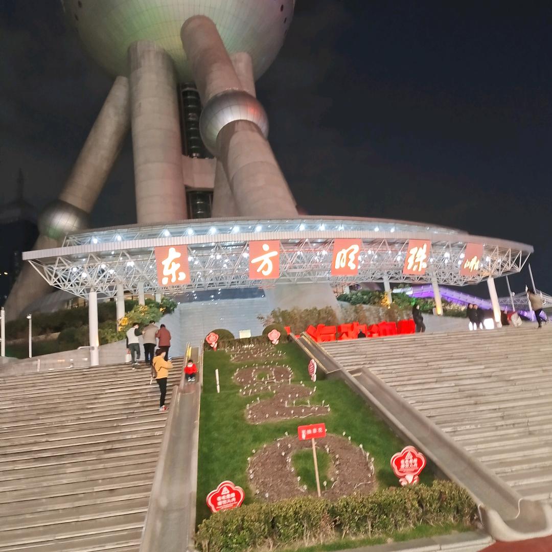林花飞舞