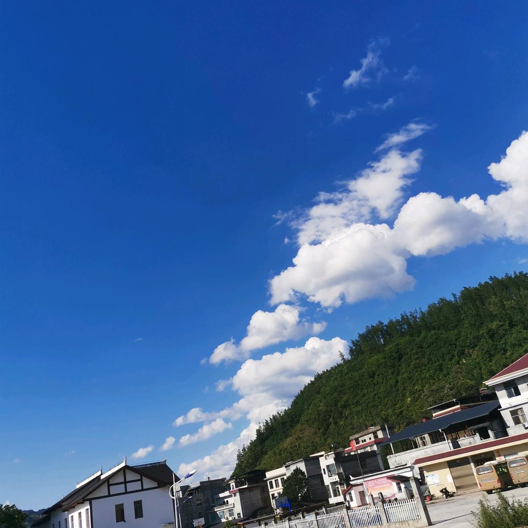 胡雪辉