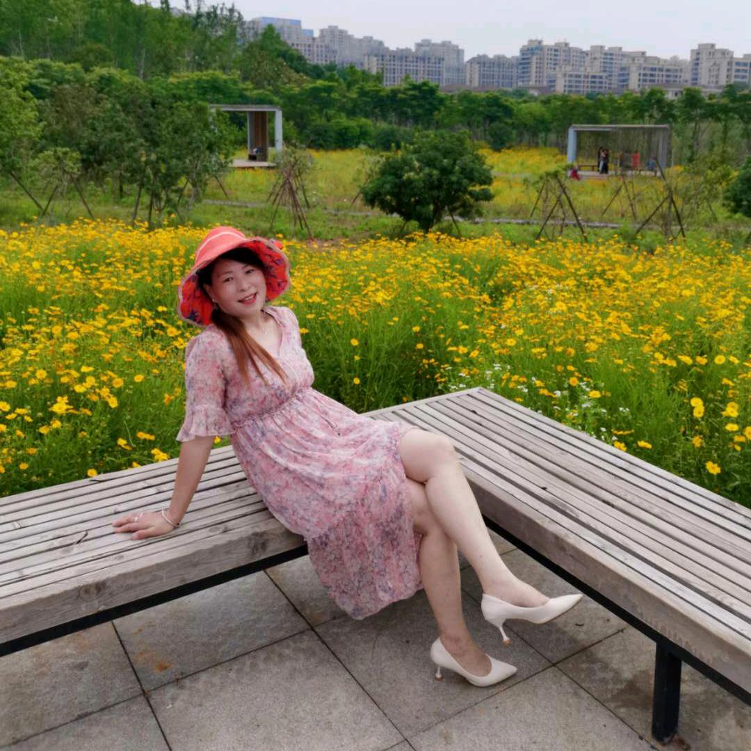出水芙蓉