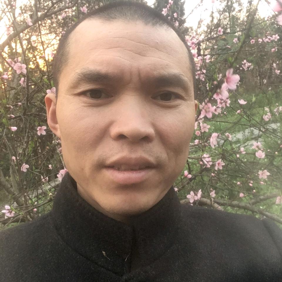 燕子飞略