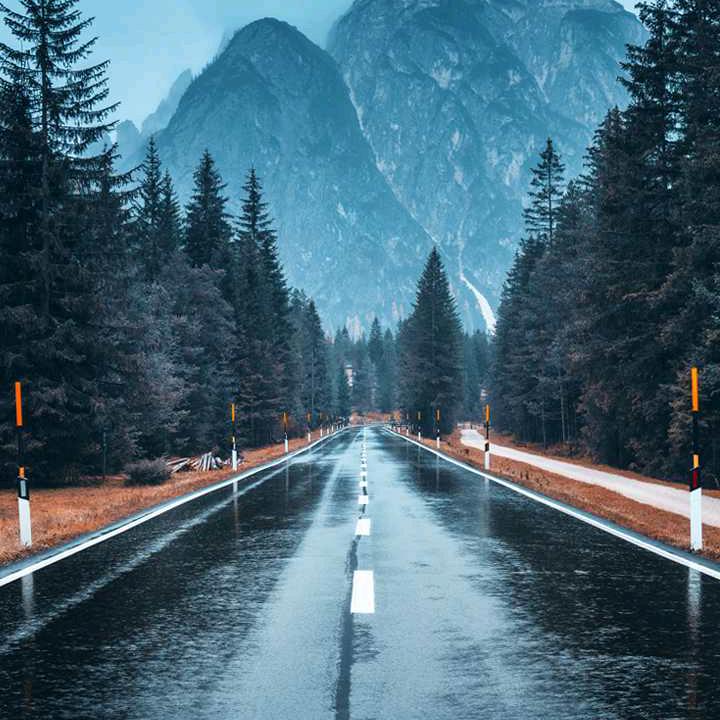 龙腾虎跃
